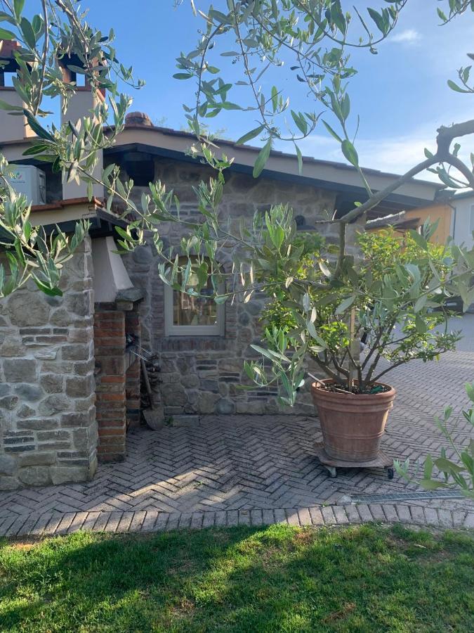Locazione Turistica Casa Olivo Lejlighed Fucecchio Eksteriør billede
