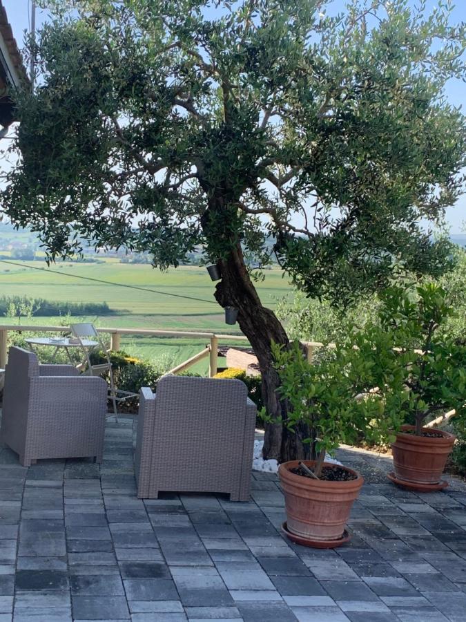 Locazione Turistica Casa Olivo Lejlighed Fucecchio Eksteriør billede