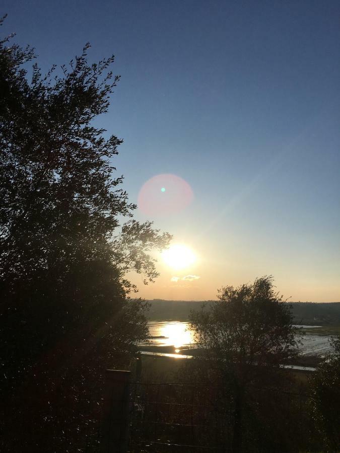Locazione Turistica Casa Olivo Lejlighed Fucecchio Eksteriør billede